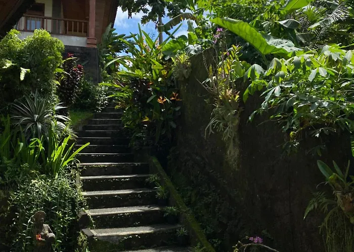 アパート Widi's House With Jungle Lush View *