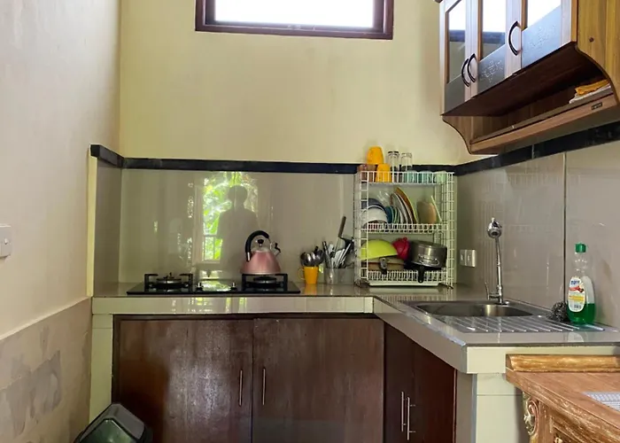 Widi's House With Jungle Lush View