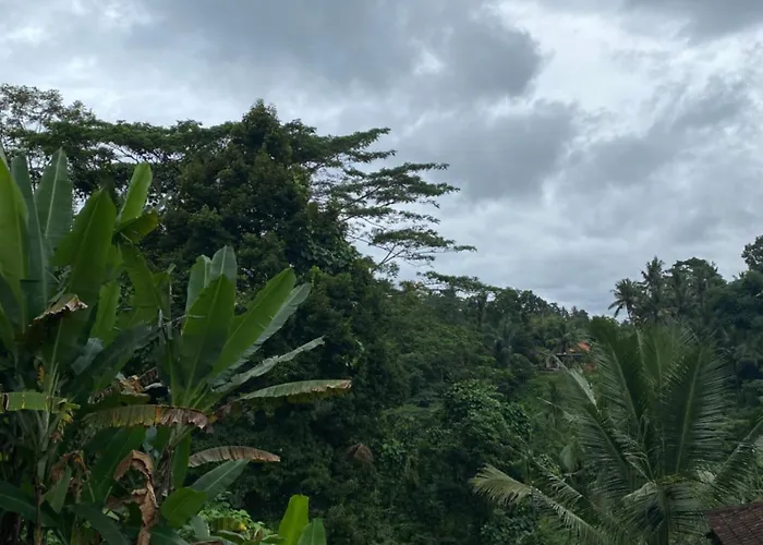 Widi's House With Jungle Lush View アパート ウブド