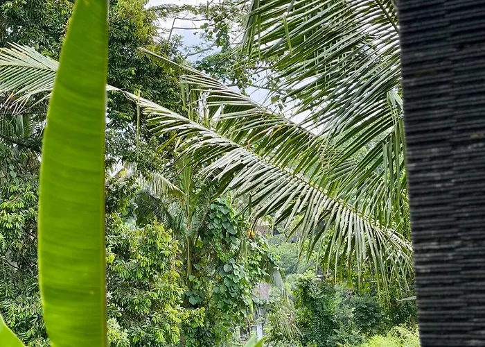 アパート Widi's House With Jungle Lush View *