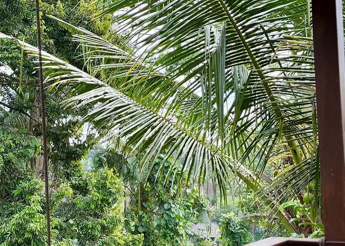 Widi's House With Jungle Lush View * ウブド
