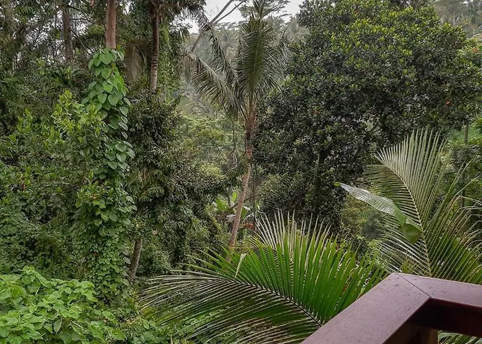 アパート Widi's House With Jungle Lush View
