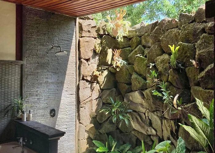Widi's House With Jungle Lush View *
