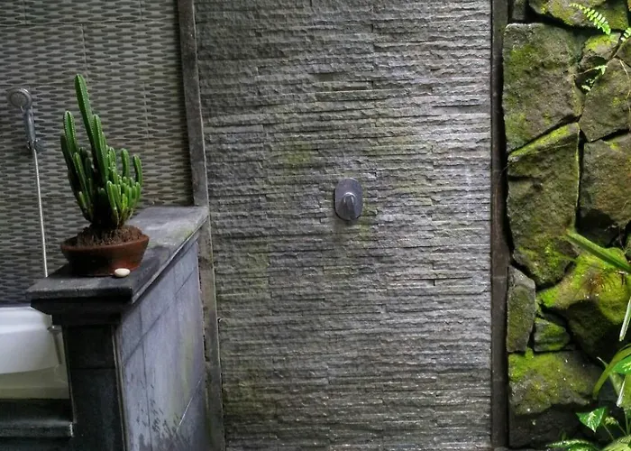 Widi's House With Jungle Lush View アパート