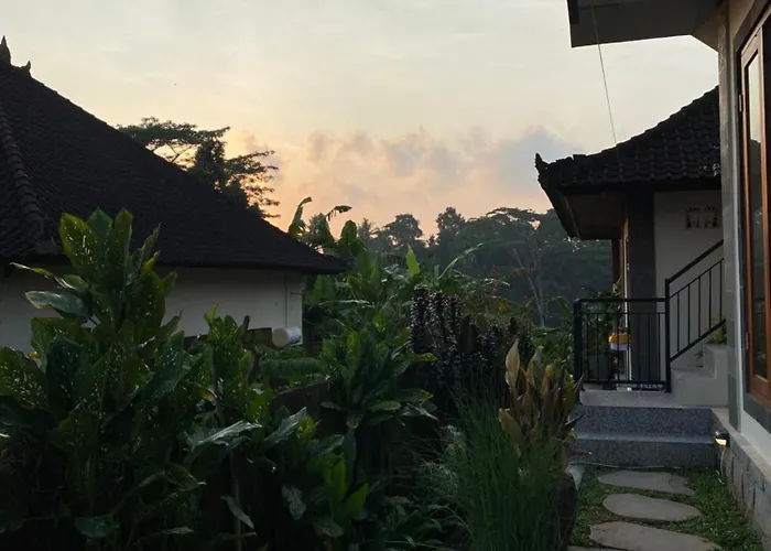 Widi's House With Jungle Lush View